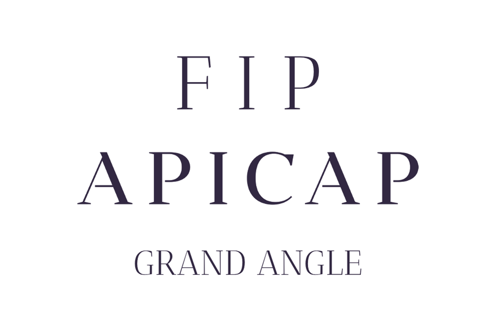 APICAP GRAND ANGLE logo